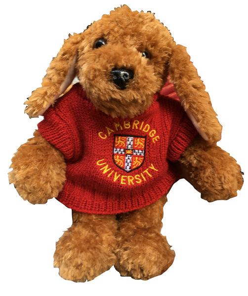 Cambridge University Plush Soft Toy - Floppy Dog with Cambridge University Sweater - Official Licenced product