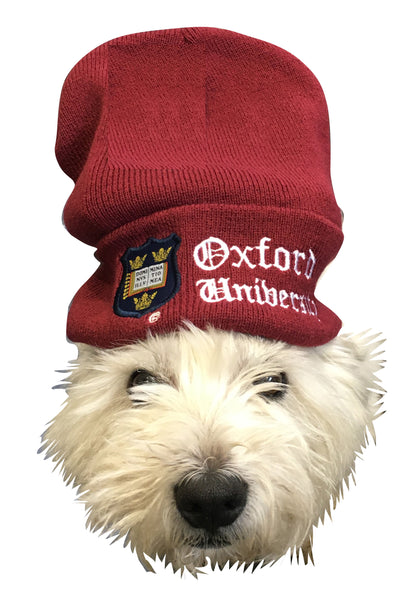 Oxford University Beanie - Burgundy Colour - Official Licenced Apparel